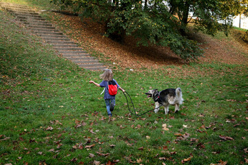 Obraz na płótnie Canvas on a walk with a dog
