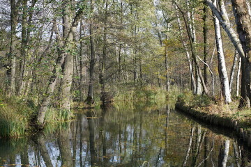 Sonnige, idyllische Flusslandschaft im Spreewald bei Lübbenau