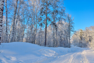 Snowy road through the frozen birch forest with snowdrifts and fluffy hoarfrost covered trees at bright sunny day with blue clear sky - beautiful sunshine winter landscape