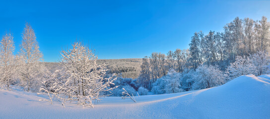 Fabulous beauty of winter landscape - panoramic view of white fluffy snow covered forest in mountains, glowing in sunlight lacy trees. Fairy tale of winter wonderland, frost and bright sun beams on bl
