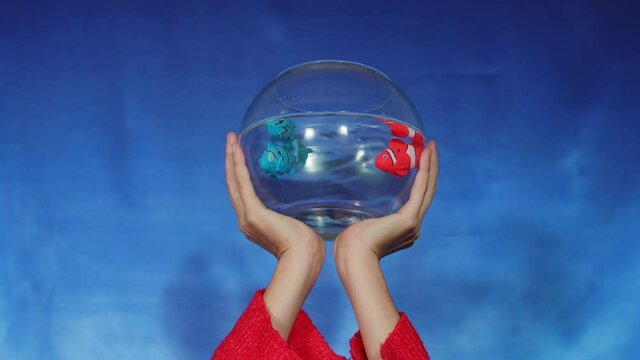 Manos alzando pecera con peces de juguete.