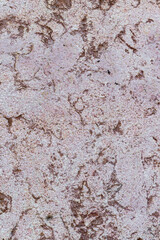 textured plaster on a cement-gypsum base as a calm building background