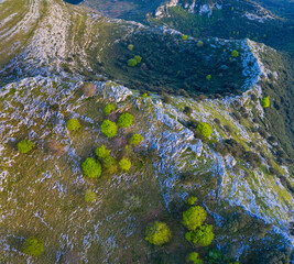 HOYAS o DOLINAS on Candina Mountain, Springtime, Encinar Cantábrico, Oak, Candina Mountain, Liendo, Liendo Valley, Montaña Oriental Costera, Cantabria, Spain, Europe