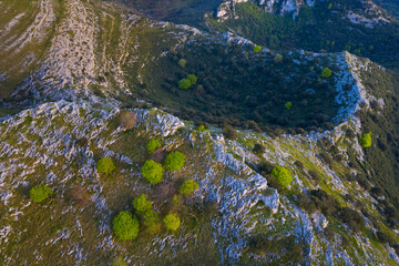 HOYAS o DOLINAS on Candina Mountain, Springtime, Encinar Cantábrico, Oak, Candina Mountain, Liendo, Liendo Valley, Montaña Oriental Costera, Cantabria, Spain, Europe