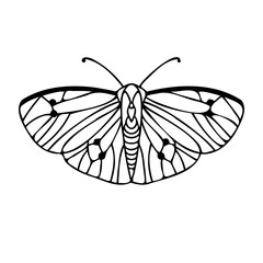 Abstract isolated vector black and white lined illustration design of butterfly