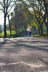 Herbstliche Radtour