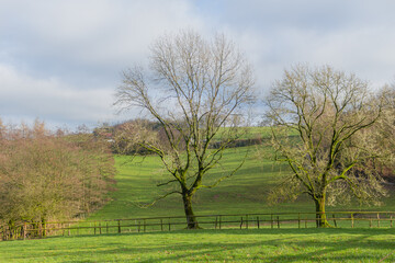 Beautiful landscape view hilly countryside fields with trees and forests