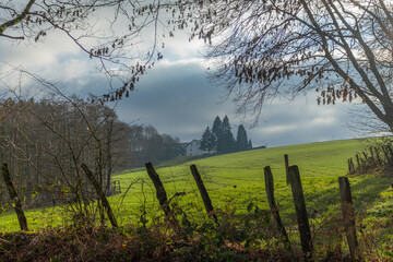 Beautiful landscape view hilly countryside fields with trees and forests