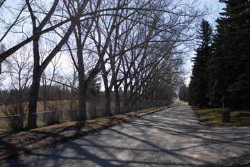 Fototapeta premium path in the park