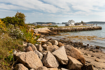Rocks and wildflowers line the shore along the harbor of Stonington, Deer Isle, Maine

