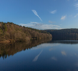 Trees and forests at a lake during midday sunlight in winter