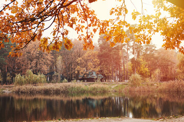 House by lake. Reflection of trees with yellow crown in lake water. Autumn concept, cold weather,...