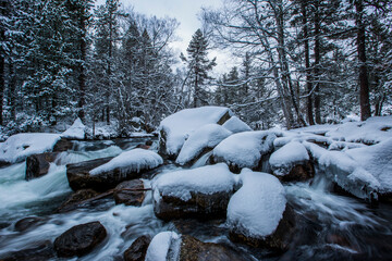 Winter river in Capcir, Cerdagne, Pyrenees, France