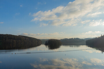 Trees and forests at a lake during midday sunlight in winter