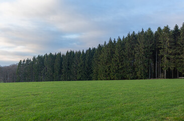 Beautiful landscape view hilly countryside fields with trees and forests