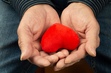 A small red heart in the hands of an elderly man.Concept: the heart is a symbol of love and loyalty.Valentine's Day.