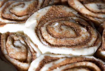 Baking cinnabons. The cinnamon dough is in the baking dish. Close-up shot.