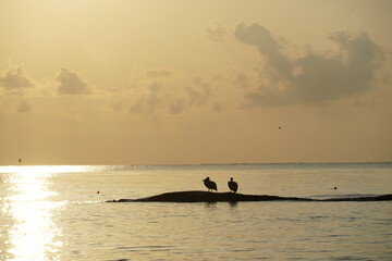 playa del carmen, mexico, quintana roo, golden hour, sunrise, sun, sea, caribbean sea, caribe, bokeh , clouds