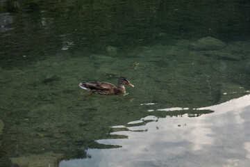 Summer sunset in the alps mountains, Northern Austria. Europe