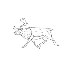 Vector hand drawn doodle sketch reindeer isolated on white background