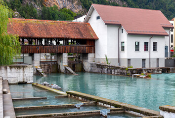 Obraz premium Interlaken. Old wooden dam on the mountain river Aare.