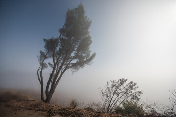 Fog Envelops the Santa Monica Mountains in Malibu California