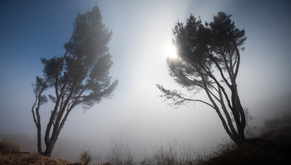 Fog Envelops the Santa Monica Mountains in Malibu California