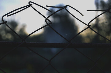
cage life