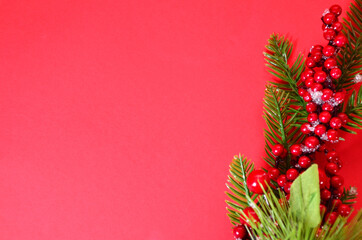 Christmas Tree decoration christmas tree branch, red berries, top view, copy space, new year or christmas holidays