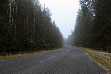 Obraz premium landscape photography of forest road in late autumn