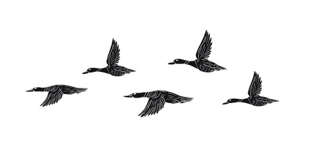 Vector hand drawn doodle sketch flock of flying duck isolated on white background