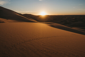 Fototapeta na wymiar sunset in the dunes of the desert