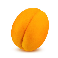Apricot isolated on white background with clipping path