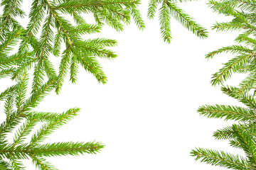 Naklejka premium Natural frame of fresh green spruce branches on a white background, isolate. Christmas, new year, Christmas tree. Copy space