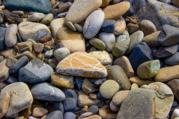 Pebble beach. Beautiful sea stones, different sizes and textures. With streaks, inclusions. On the beach after the storm, small objects and shell fragments were thrown out. Textured rocky background.