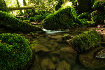 Black Forrest Waterfalls