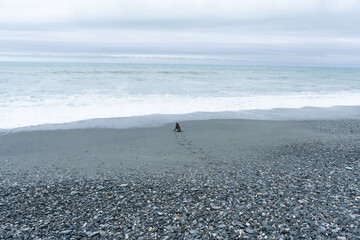 Smooth pebbles and stones blanket Gillespies Beach on New Zealand's West Coast, where the Tasman...