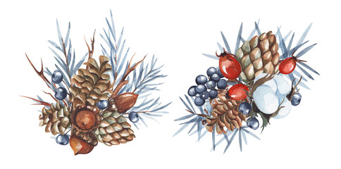 Watercolor composition of cones, cotton, acorns, berries and spruce branches, isolated on white background. Sketches and process of creation of it you can look in attached images.