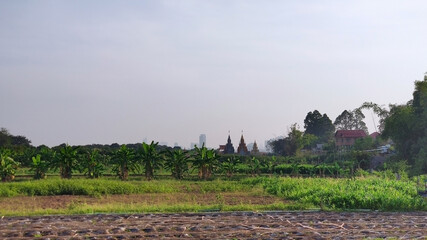 Fototapeta na wymiar Rural tropical landscape near Phnom Penh. Cambodia. South-East Asia
