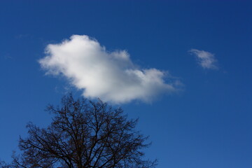 Obraz na płótnie Canvas clouds over the sky