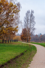 Naklejka premium autumn green grass, road, fence and trees