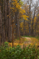 nature trails meander in autumn with leaves