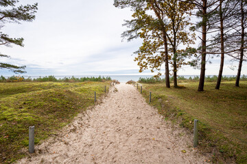 Dünen an der Ostsee