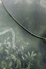 Garden stories 
Detail greeenhouse