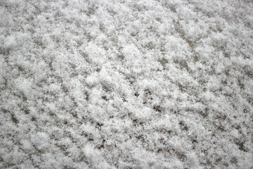 Snow lying on the ground