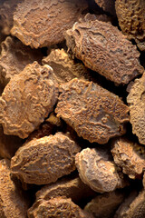 super makro shot of  very nice seeds exotik karela momordica.  close and clear in details good food and spice backround