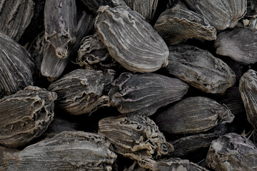 super macro shot of exotic spice black cardamon from India. in details very close.aromat part of masala. Ideal food and spice background