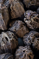 super macro shot of exotic spice black cardamon from India. in details very close.aromat part of masala. Ideal food and spice background