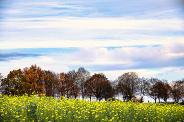 Obraz premium Herbstimpressionen