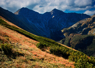 view of autumn mountain ridge